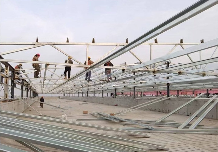 微信截图_20250723105952